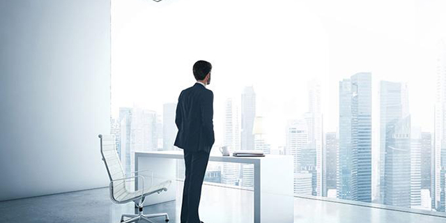 戰略 文(wén)化咨詢